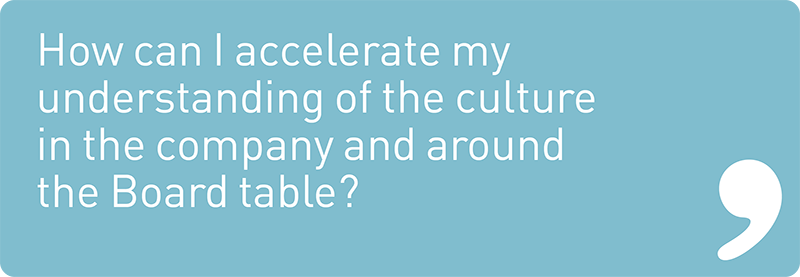 How can I accelerate my understanding of the culture in the company and around the Board table? 